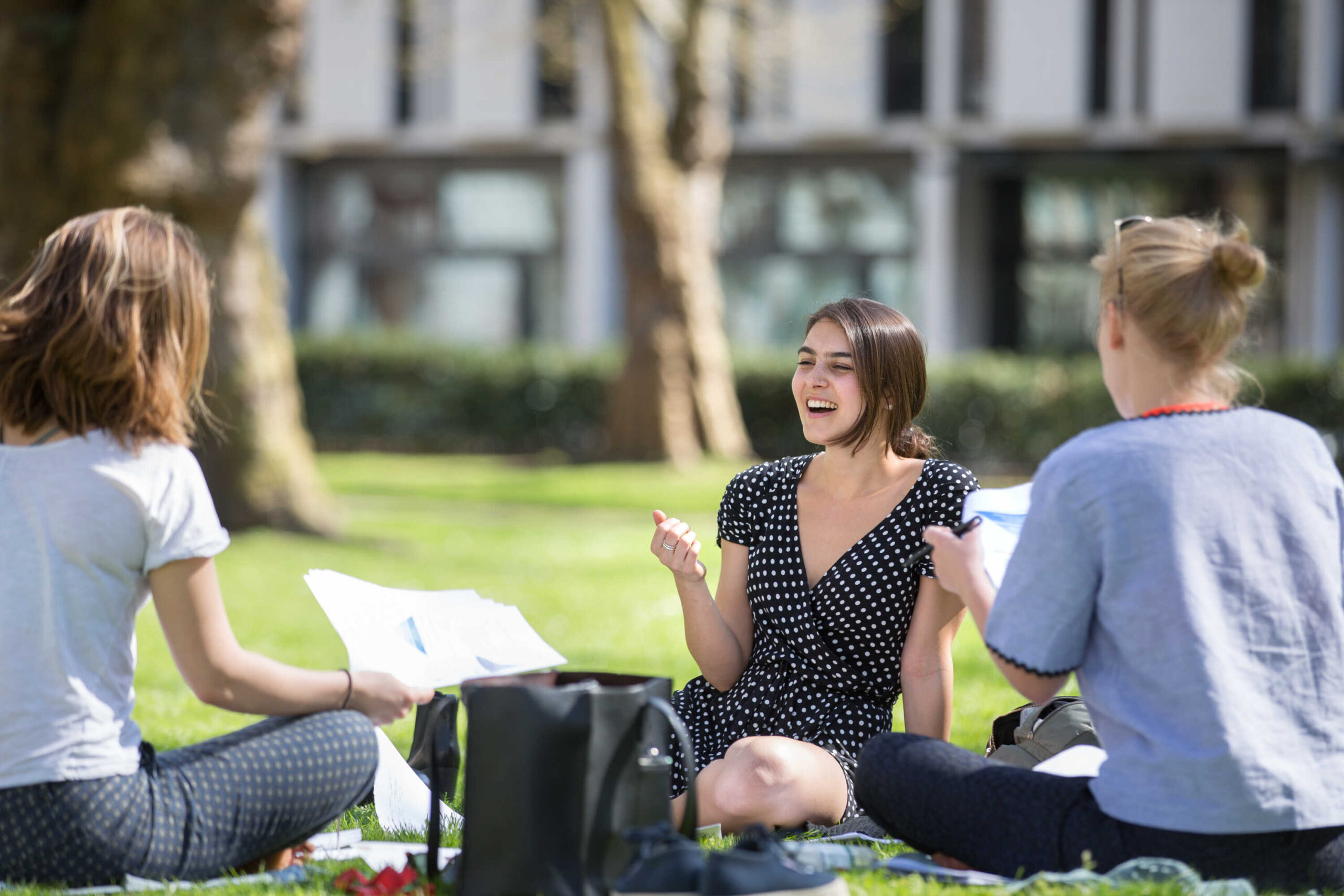 Three female students studying on the lawn and having a conversation.